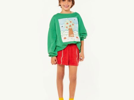 Girls & Boys Green Cotton Sweatshirt Supply