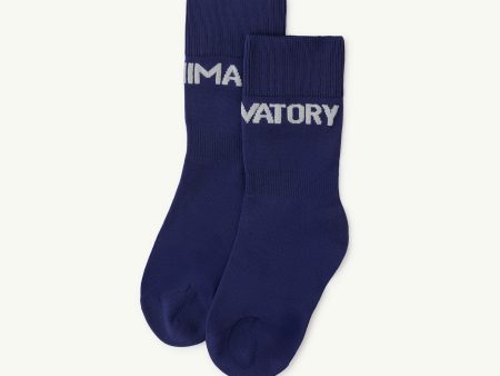 Boys & Girls Navy Blue Socks Sale