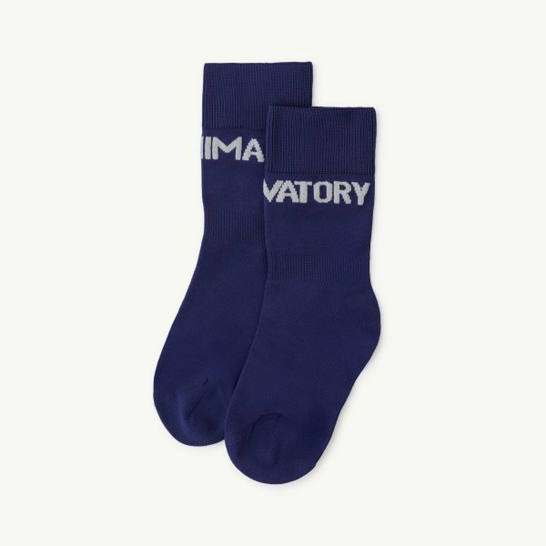 Boys & Girls Navy Blue Socks Sale