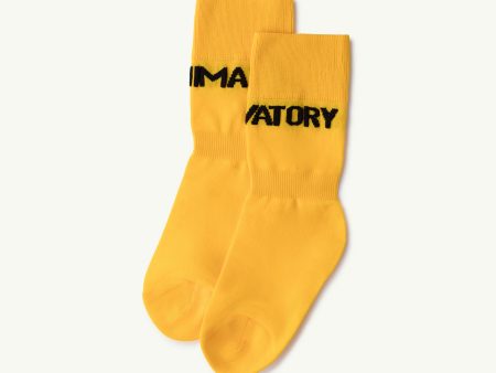 Boys & Girls Yellow Socks Hot on Sale