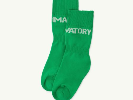 Boys & Girls Green Socks Online Sale