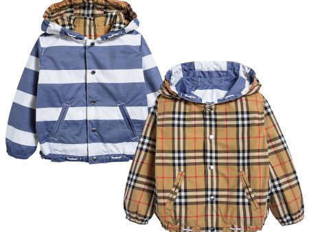 Baby Boys Navy & White Cotton Jacket Online Sale