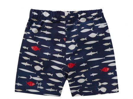 Baby Boys Deep Blue Cotton Bermuda Shorts Fashion