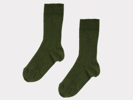 Boys & Girls Pine Cotton Socks Discount