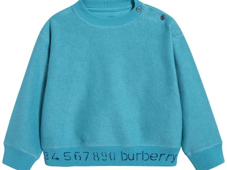 Baby Boys Bright Cyan Blue Cotton Sweatshirt Online Sale