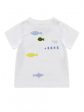 Baby Boys White Cotton T-shirt Online Sale