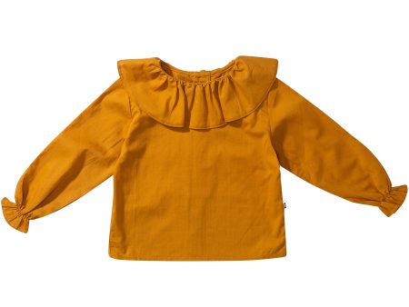 Girls Yellow Cotton Blouse With Collar For Sale