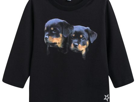 Baby Boys Black Dogs Printed T-Shirt For Cheap