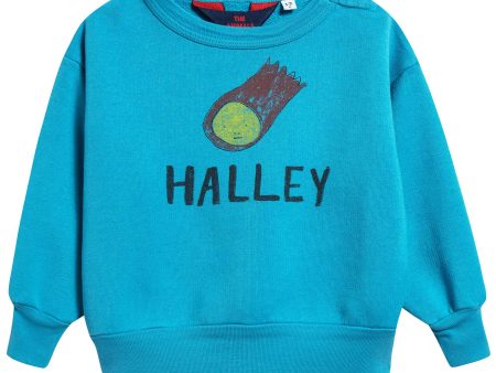 Baby Blue Halley Cotton Sweatshirt For Cheap