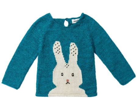 Baby Bay Blue Bunny Alpaca  Sweater For Cheap