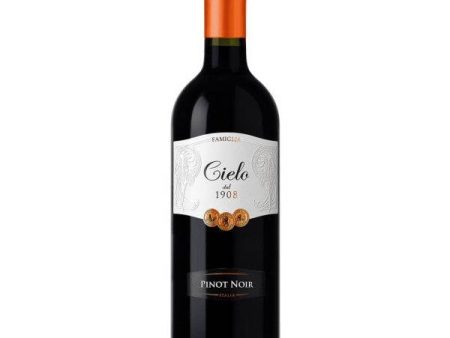 Cielo e Terra Pinot Noir 2020 (1500ml) For Cheap